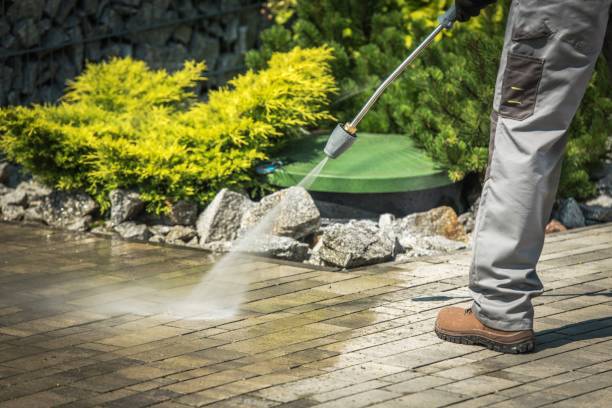 Best Pool Deck Cleaning  in Primera, TX